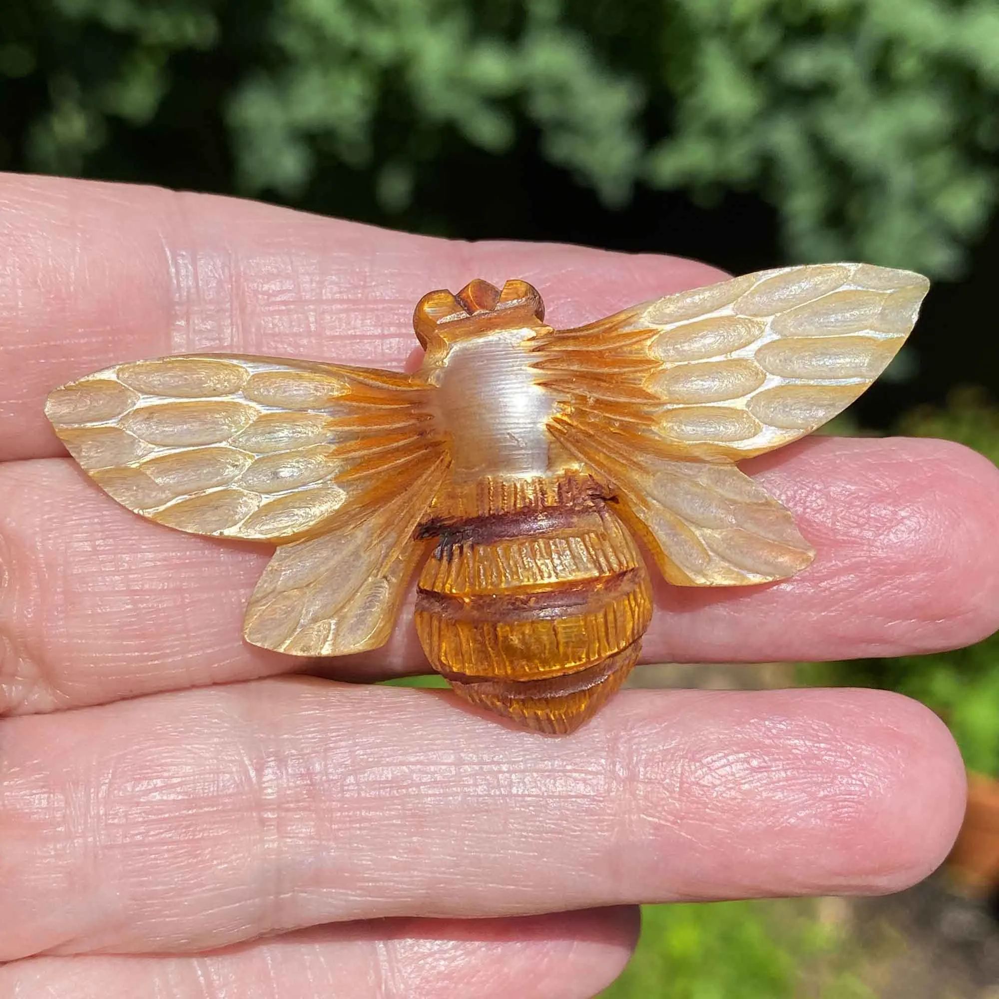 French Art Nouveau Moth Carved Horn Brooch