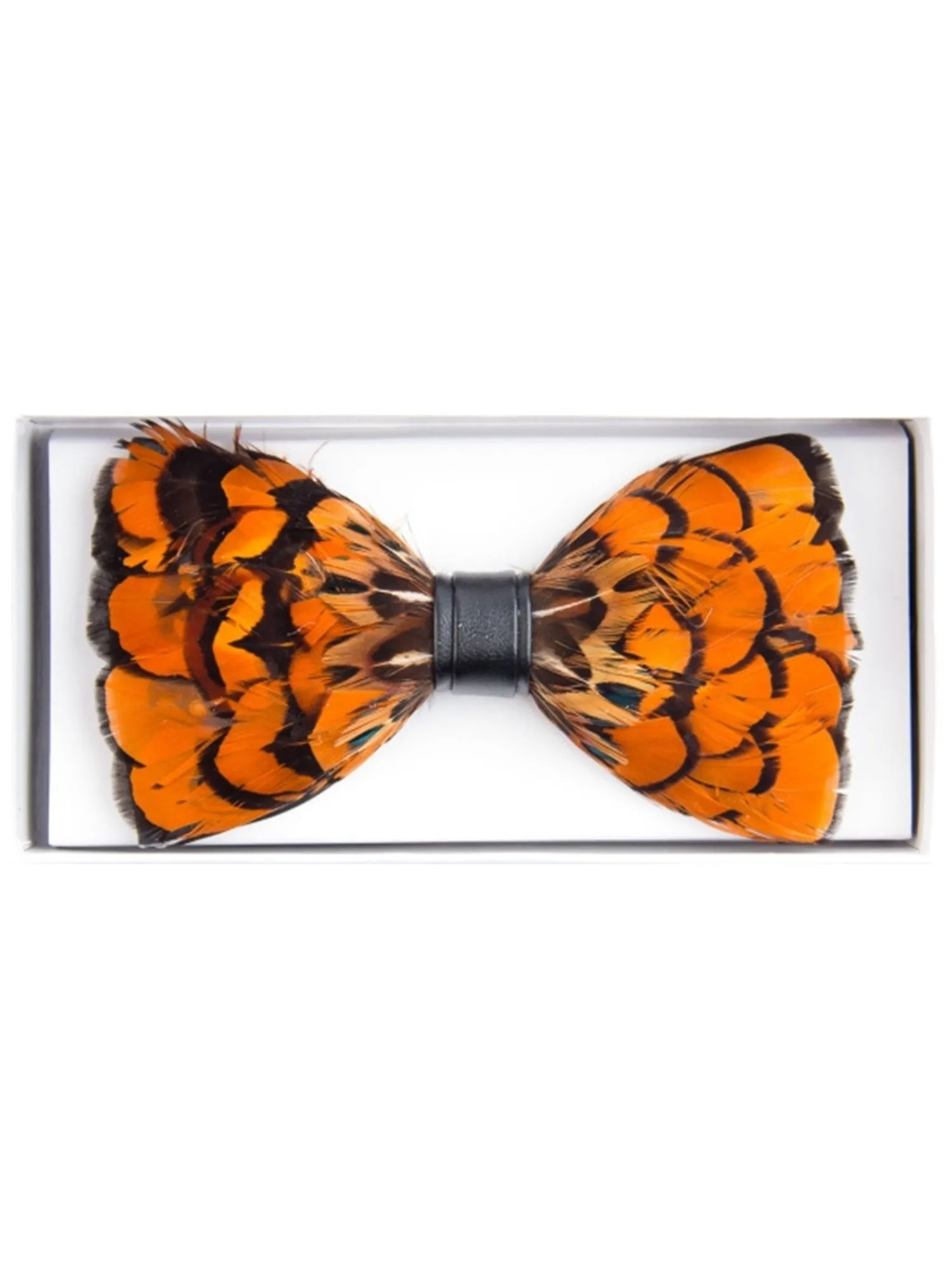 Men's Novelty Feather Banded Bow Tie