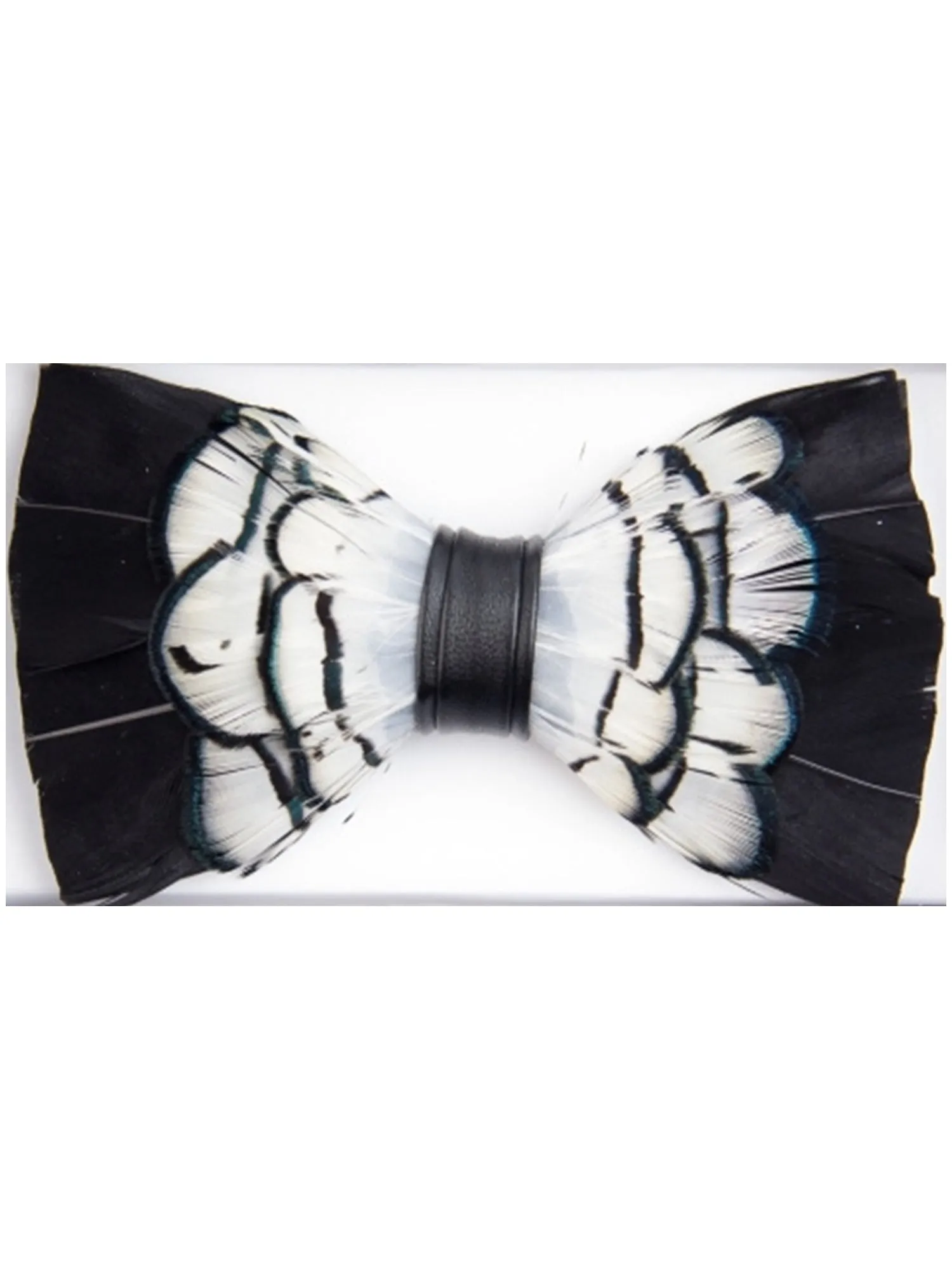 Men's Novelty Feather Banded Bow Tie