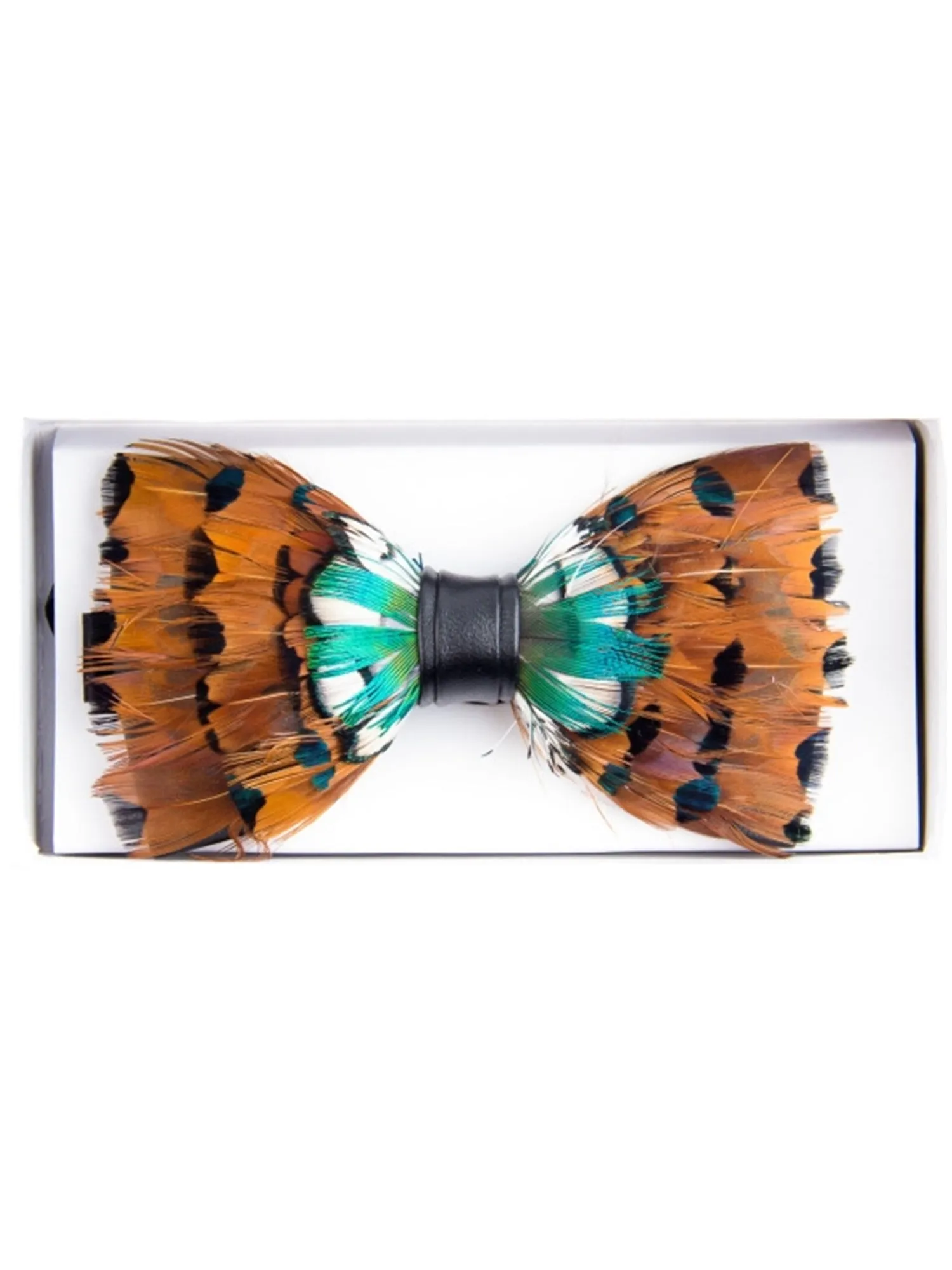 Men's Novelty Feather Banded Bow Tie