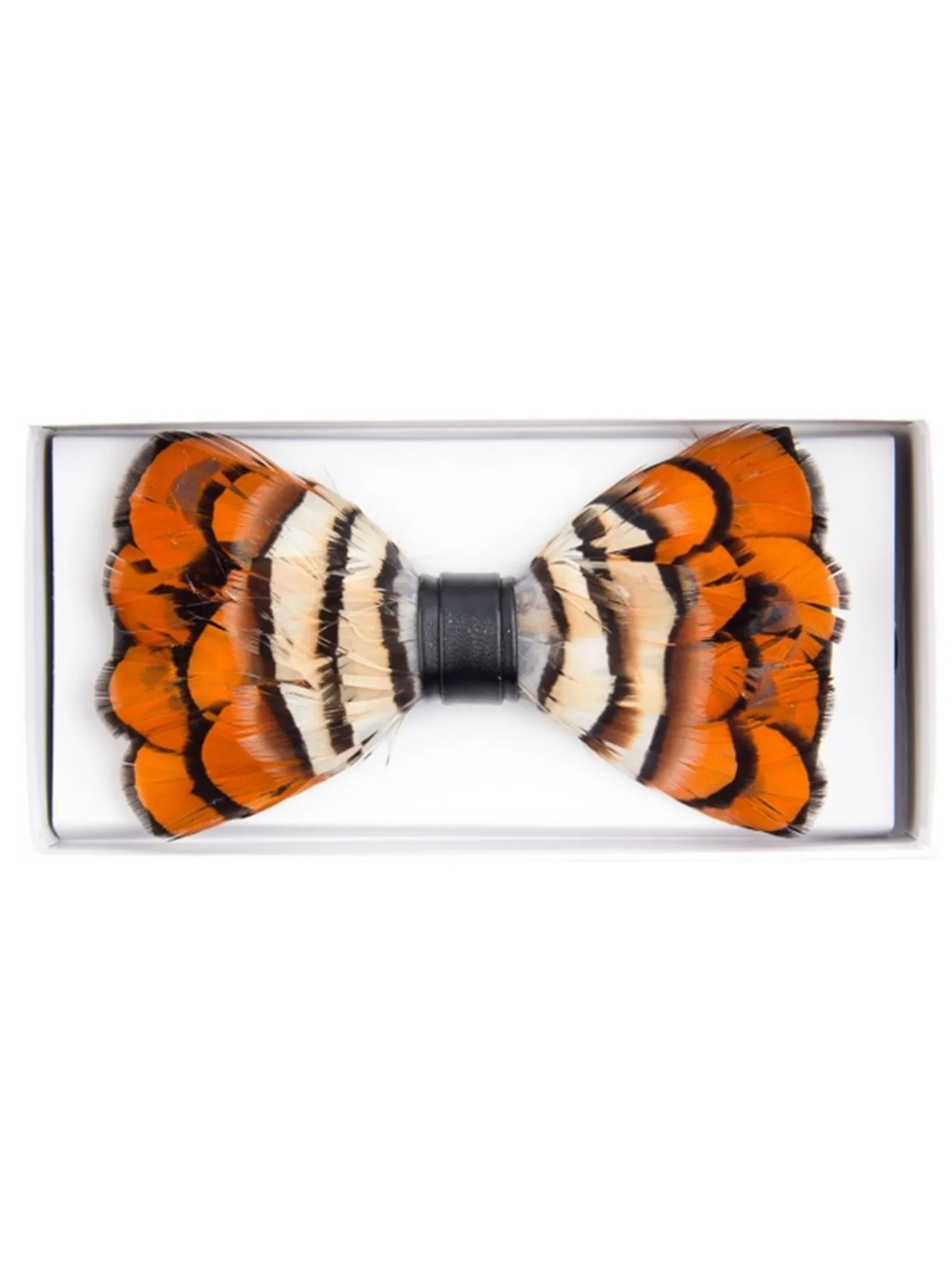 Men's Novelty Feather Banded Bow Tie