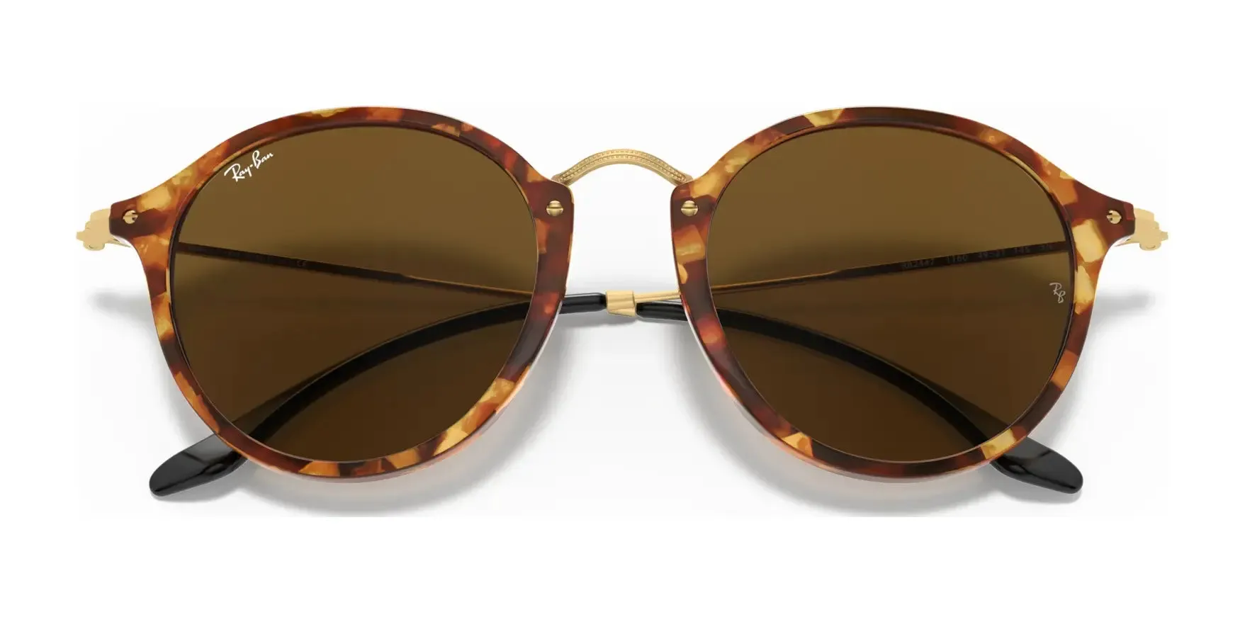 Ray-Ban ROUND RB2447 Sunglasses